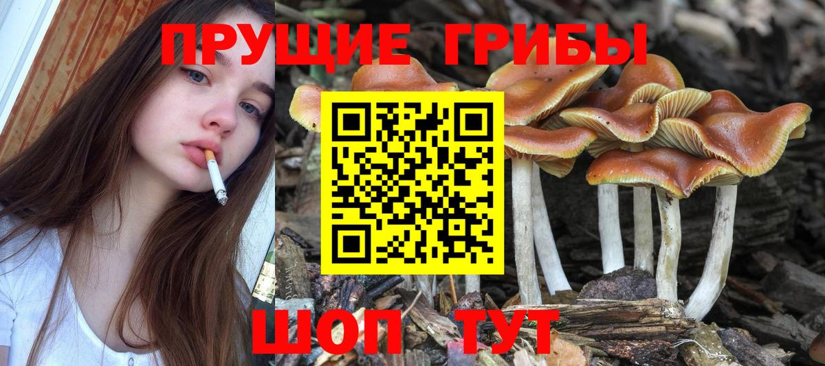 Галлюциногенные грибы GOLDEN TEACHER Саяногорск